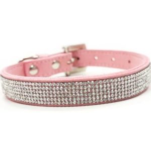 Small Protective Dog Collar With Large Spikes Small Protective Dog Collar With Large Spikes