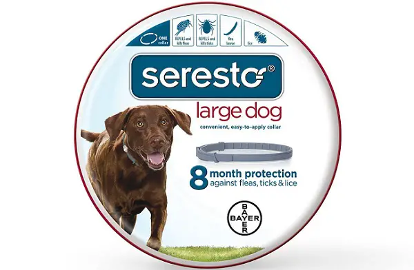 Best Priced Puppy Food Best Priced Puppy Food