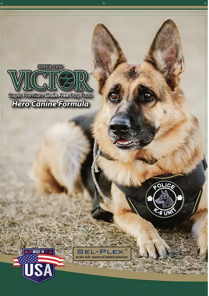 victor dog food-Victor Hero Grain-Free Dry Dog Food, 30-Pound