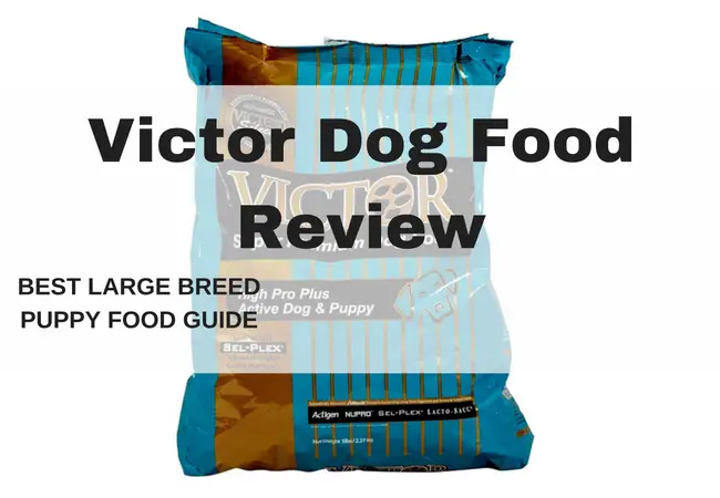 victor dog food-Victor dog food pack